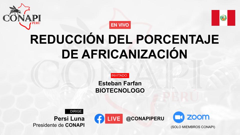 Reducción de africanización mediante inseminación artificial, validado por análisis morfométrico y molecular