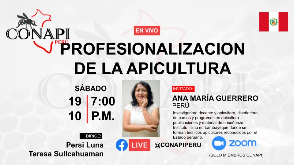 Profesionalización de la apicultura